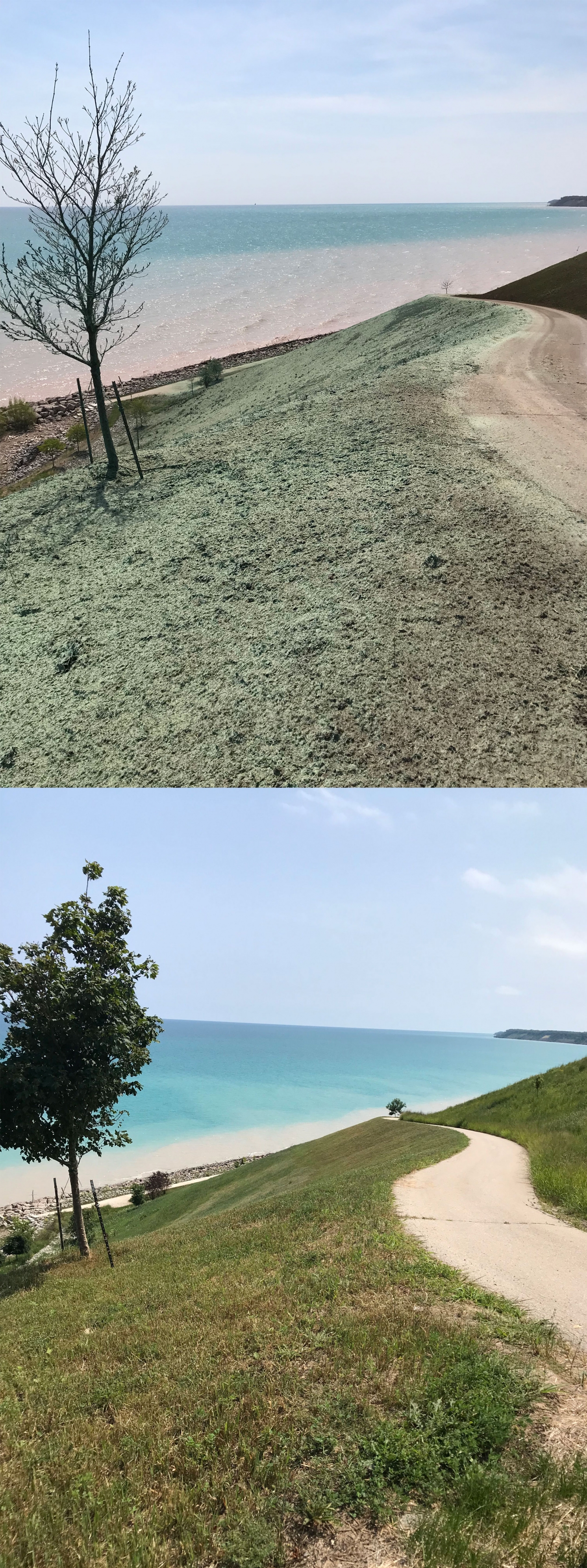 <b> Top: </b>HP-FGM erosion control material is visible shortly after application in May 2018 . <b> Bottom: </b> Full vegetation establishment was seen less than three months later.  